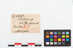 Etikett zu Bronzeschaftlappenbeil (NHMW-PRAE-024681)